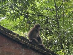 -西岭雪山大飞水景区