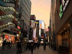 -秋叶原电器街