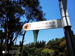 -狐尾山公园