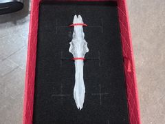 -土砂锅生态山庄·非遗砂锅雅鱼