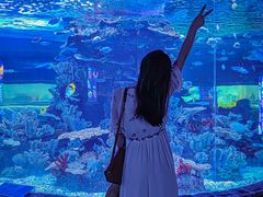 -左海海底世界