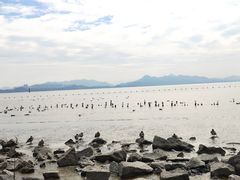 -福田红树林生态公园