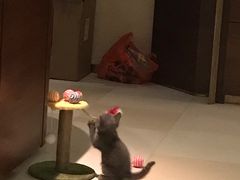 -惠州金海湾嘉华度假酒店