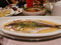 清蒸白水鱼-天福苑(崇宁路店)