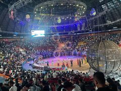 -俄罗斯国家大马戏团