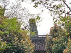 -上海佘山国家森林公园天马山园