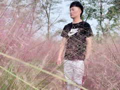 -大塘金香草谷
