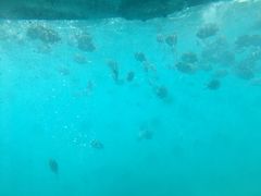 -亚龙湾海底世界