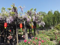 -晋祠公园