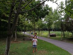 -昆山城市生态森林公园