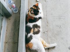 -麦德龙(郑东店)