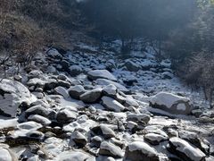 -青峰峡国家森林公园