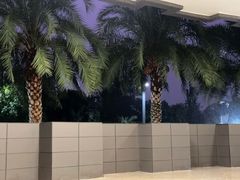 -云南艺术学院(呈贡校区)