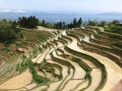 -紫鹊界梯田景区