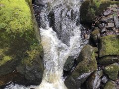-茅兰沟国家森林公园