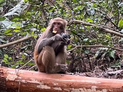 -重庆雨台山风景区