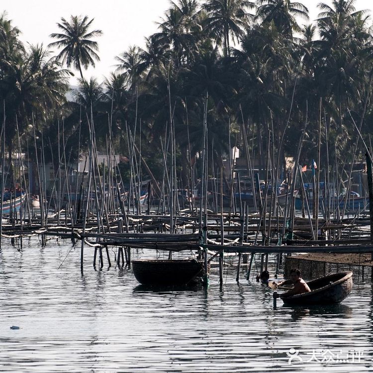 那里遍布茂密的丛林与稻田