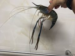 -王四营海鲜市场