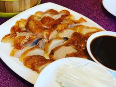 -燕春楼(海河华鼎店)