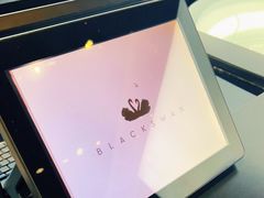 -BLACKSWAN黑天鹅(环球店)