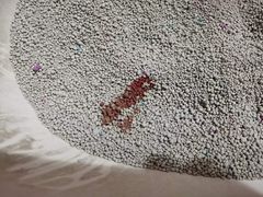 -北京恒爱动物医院(清景园分院)