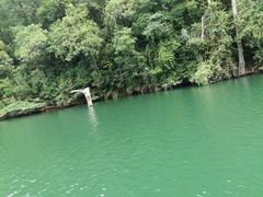 -天台国家森林公园水上茶乡九鹏溪