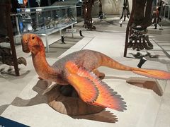 -国家自然博物馆