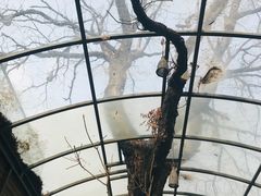 -zarah(鼓楼店)