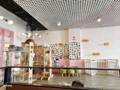 -喵匠猫主题咖啡(凯德和平广场店)