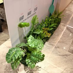-香榭丽舍·海菲秀·皮肤管理痘敏肌修护