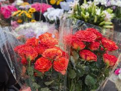 -循礼门鲜花花市(武汉循礼门店)