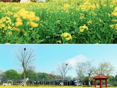 -武汉紫薇都市田园