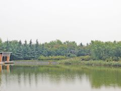 -大兴滨河森林公园