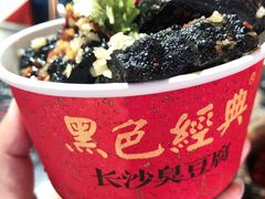 -黑色经典臭豆腐·湖南特产(潇湘文化店)