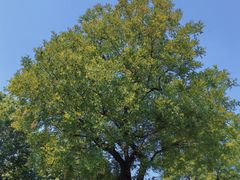 -济南国际园博园