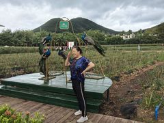 -亚龙湾国际玫瑰谷