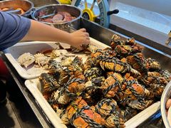 -大连金石滩绿发温泉假日酒店
