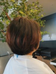 -付军剪艺JF ProSalon