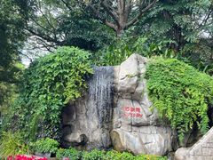 -九龙公园