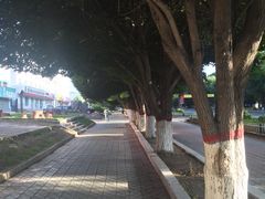 -特克斯八卦城