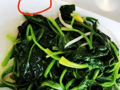 -云中小雅