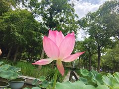 -金山公园