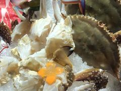 -尚海豆捞(乐虹坊店)