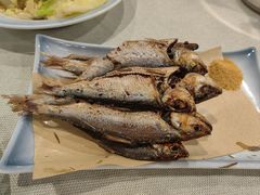 -渔娘渔家丹东海鲜(东直门店)
