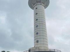 -渡海小渔村.老辈日照菜