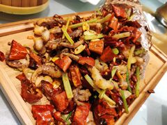 -正阳春烤鸭(华捷道店)