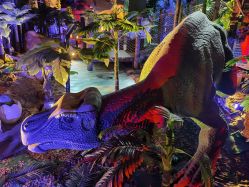 -恐龙探索乐园(磁器口店)