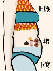 -玛莲朵·海菲秀冰珀科