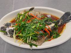 -潮盧打边炉