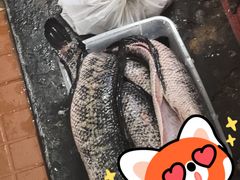 -陈生记黑鱼馆·20年活鱼现杀(宁波鼓楼店)